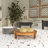Toshie Mango Wood Decorative Cake Stand with Glass Cloche-1042458433