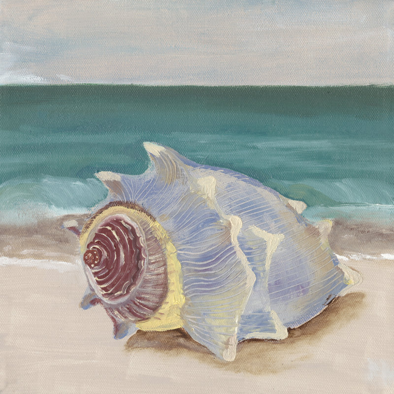 She Sells Seashells I by Alicia Ludwig - Wrapped Canvas Painting, 91cm H x 91cm W