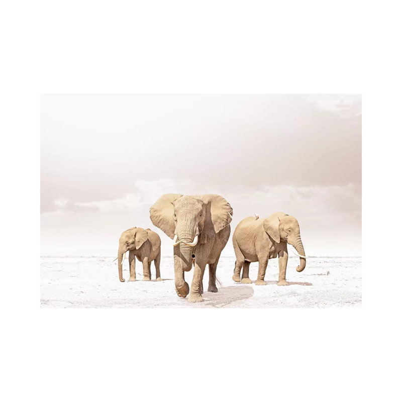 White Three Elephants by Klaus Tiedge - Wrapped Canvas Print, 101.6 cm H x 66.04 cm W x 3.175 cm D