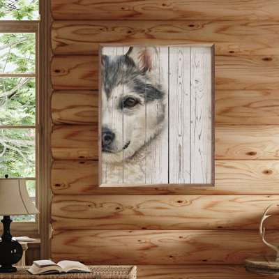 Sled Dog Portrait