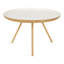 Albinca Coffee Table-486999508