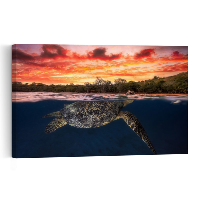 Sea Turtle Sunset Swim Colorful Serene Tranquil Turtle Beach Nature Wall Art Print 1 Piece Wrapped Canvas Wall Art
