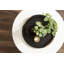 Round Ottoman Tray with Metal Handles-485116405