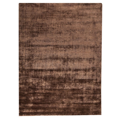 Hayner Viscose Indoor Rug