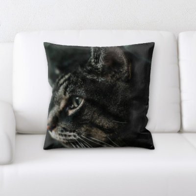 Coussin pour chat
