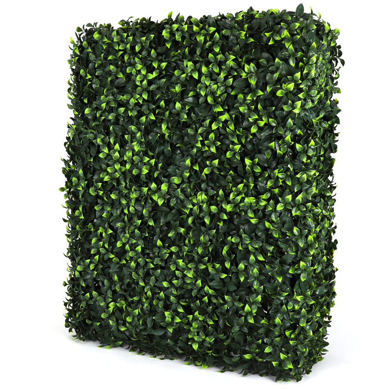 Mur de haie Gardenia, H 41,3 po x l 32 po x P 7,5 po
