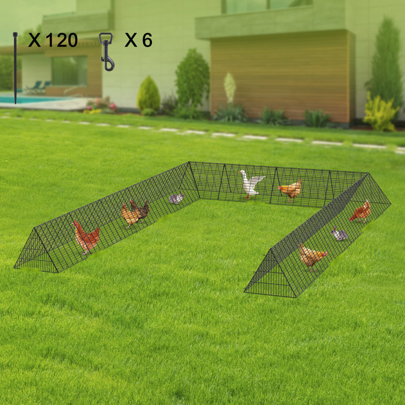Chicken Run, 61cm H x 599.4cm W x 398.8cm D