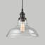 Luminaire suspendu pour dôme simple 1 lumières Engler-28962468
