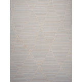 Geometric Area Rug in Beige