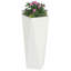 Planter Box-1880811662-1880811767