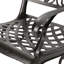 Chaise avec accoudoirs Phoenix (ensemble de 2)-1103591486