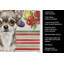 Torchon Chihuahua-322069705