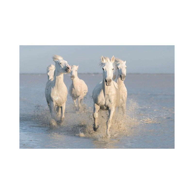 Horses by Rostovskiy Anton - Wrapped Canvas Print, 20.32 cm H x 30.48 cm W
