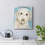 Labradoodle I, toile encadrée de qualité supérieure - prête à être accrochée-547013909-547013908