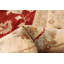 Tapis rouge foncé Chobi Finest 10 pi 2 po x 13 pi 11 po