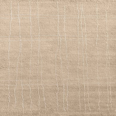 Indoor Rug