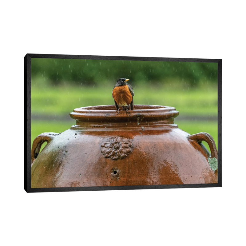 Robin on a Pot 1 Piece Wall Art on Canvas, 66.04 cm H x 45.72 cm W, Black Framed
