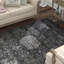 Tapis oriental performance Overholt-19818926