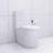 Elongated One Piece Toilet White