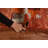 One-of-a-Kind 7'0'' X 10'0'' New Age Wool Area Rug in