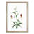 Oak Framed selected