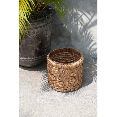Bay Isle Home Water Hyacinth Decorative Basket