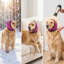 Capuchon antibruit pour chien, rose vif-131216322