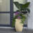 Newland Pot Planter-58225519-58225521