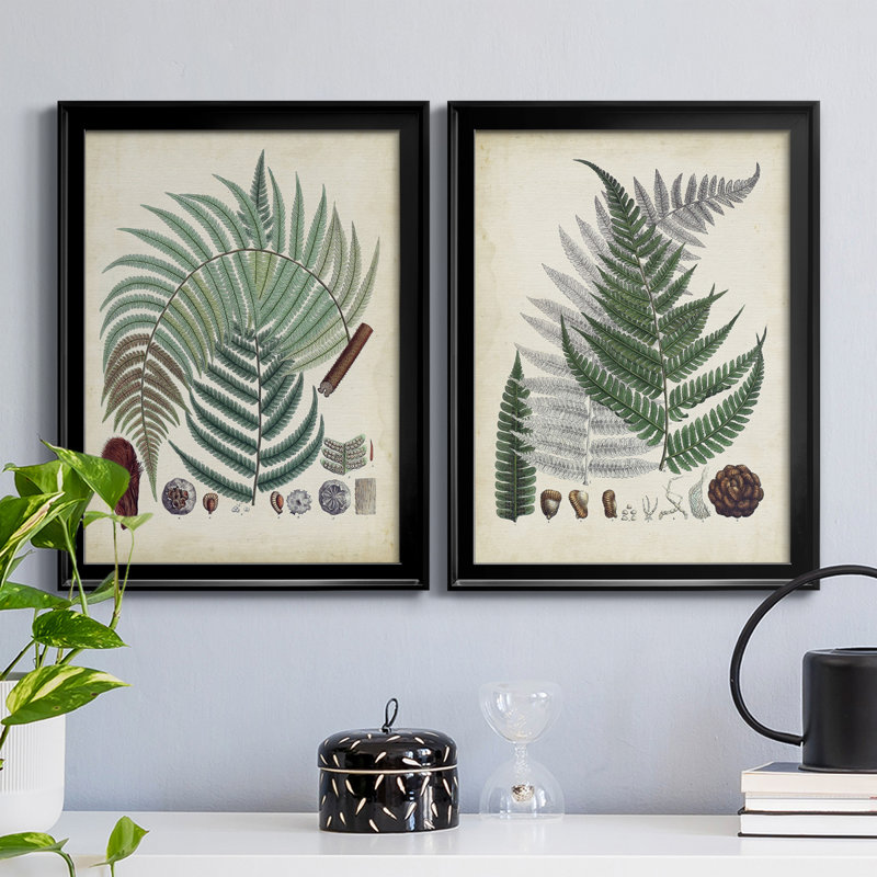 Collection de fougères I - ensemble de 2 impressions encadrées sur toile, H 36,5 po x l 26,5 po x P 1,25 po, Cadre noir