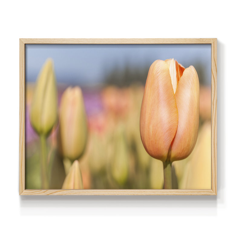 S'ouvrir au soleil - Reproduction encadrée - Restickable, H 8 po x l 10 po, Naturel