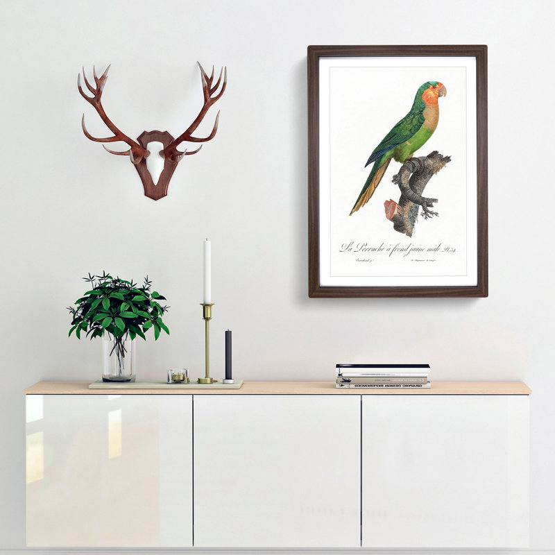 Yellow-Headed Amazon Parrot by F. Levaillant - Picture Frame Graphic Art Print, 65cm H x 48cm W x 2cm D, Walnut Framed