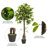 50" Artificial Camellia Tree