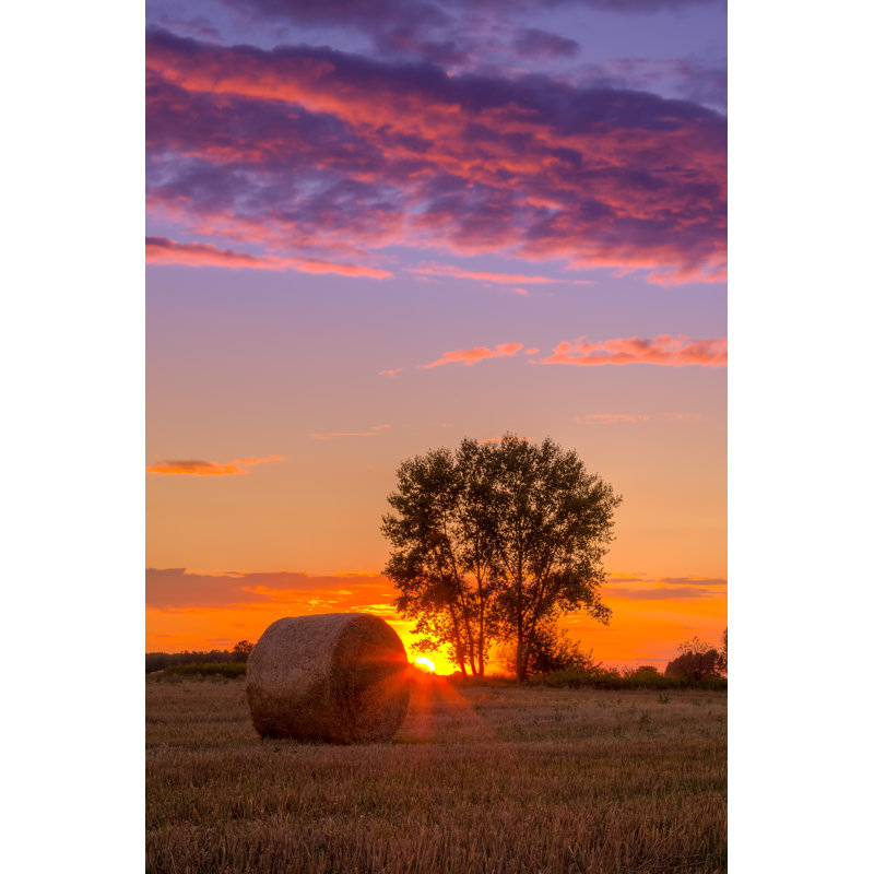 Coucher de soleil - Illustration sans cadre sur toile, H 18 po x l 12 po