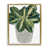 Metallic Gold Floater Frame