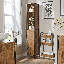 Antioco 1 Door Bathroom Storage Cabinet