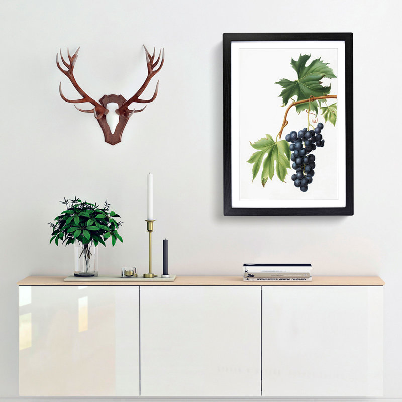 Brachetto Grapes by Giorgio Gallesio - Picture Frame Painting Print, Black Framed, 65cm H x 48cm W x 2cm D