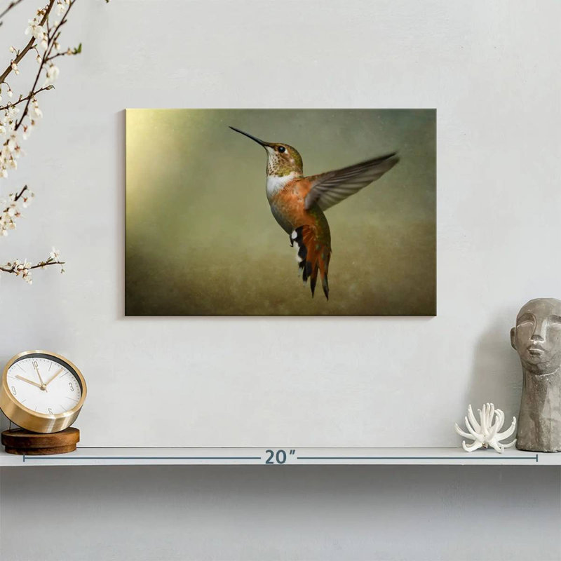 Brampt Female Rufous Hummingbird, 8" H x 12" W