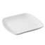 Club Rectangle Plate