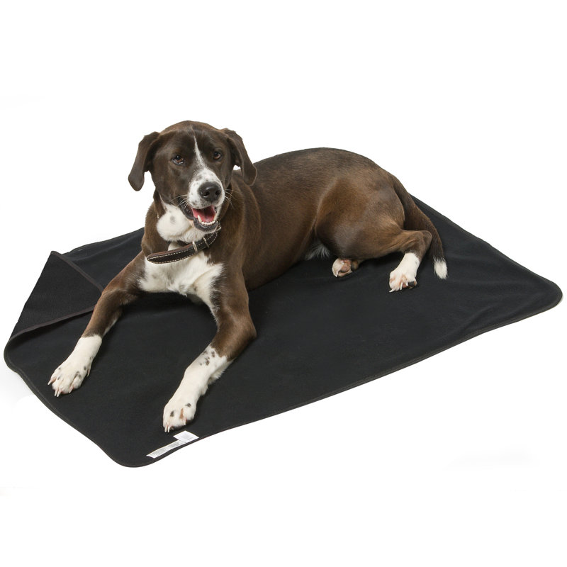 Pet Bed