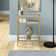 Ceno Glass Top Console Table