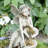 22.75"H 4-Tiered Concrete Fairy Polyresin Outdoor Fountain With Pump And LED Light (KD)