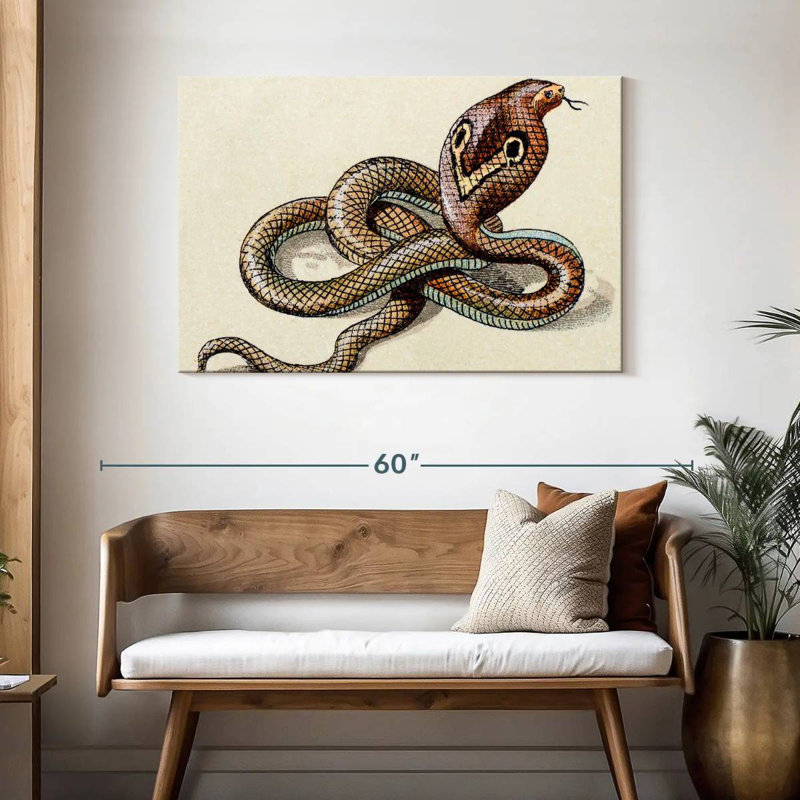 Brampt Indian Cobra, 30" H x 45" W