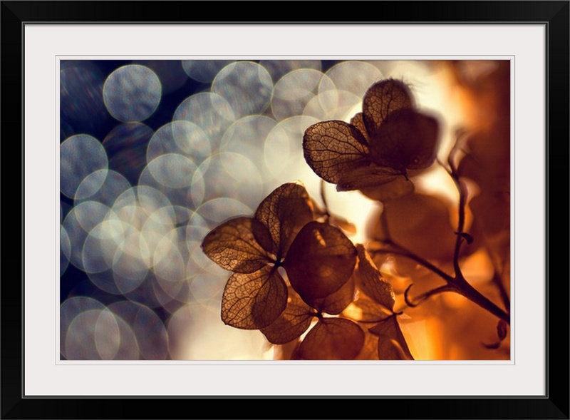 Straub 'Leaves with Bokeh by Dimitar Lazarov Photographic Print The Twillery Co.® 