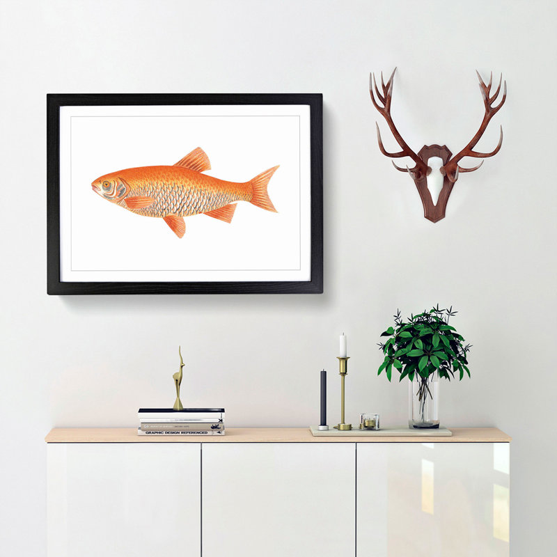Orange Carp Fish by George Shaw - Framed Print, 27cm H x 36cm W x 2cm D, Black Framed