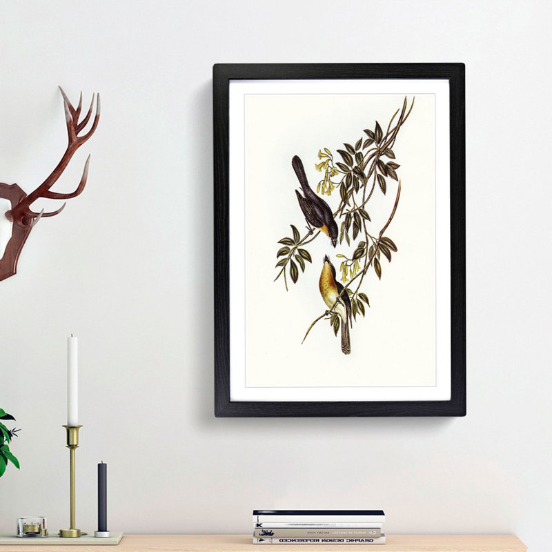 Broad Billed Flycatchers by Elizabeth Gould - Picture Frame Graphic Art Print, 48cm H x 36cm W x 2cm D, Black Framed