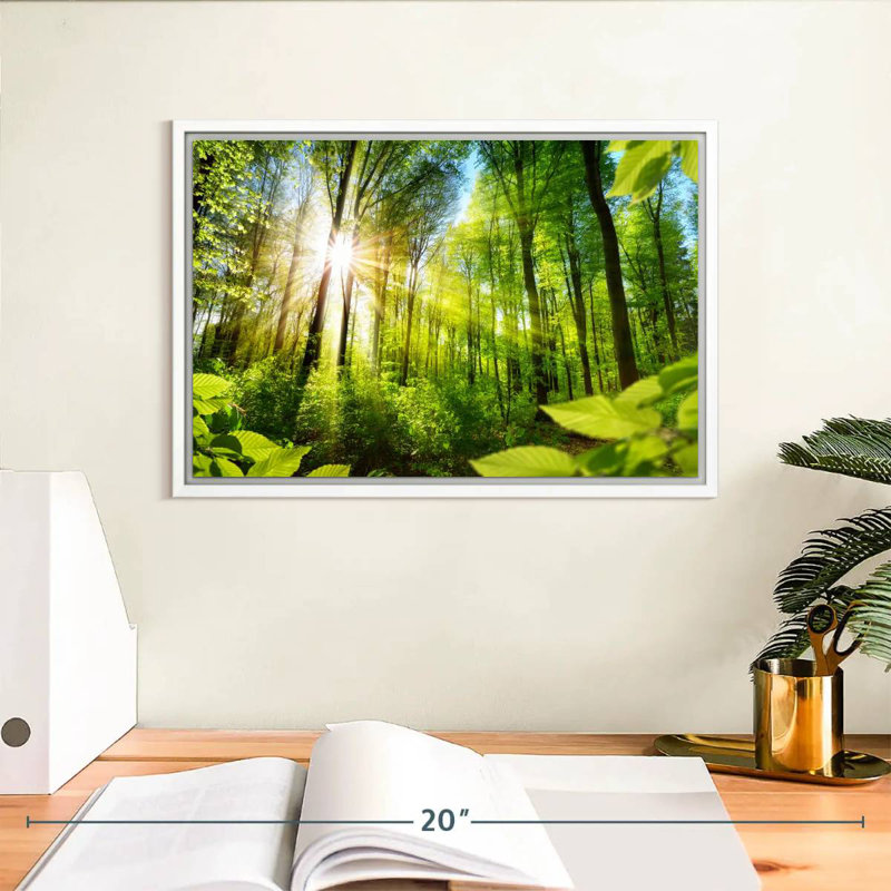 Forêt ensoleillée, Cadre flottant blanc, 13 po x 9 po