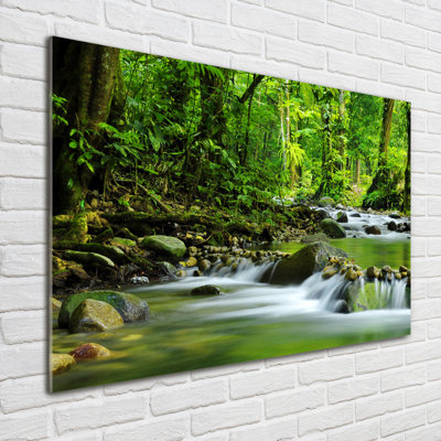Glass Print Wall Art 100X70cm Image Printed On Glass Decorative Wall Picture Behind Toughened / Tempered Safety Real Glass For Kitchen & Living Room Theme:Mountain Stream