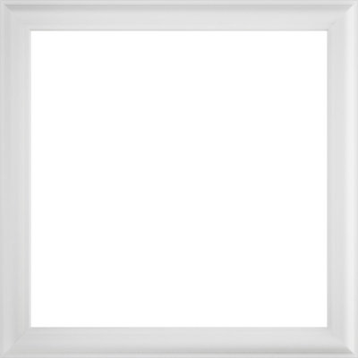 Ashford Molded Classic Wainscot Wall Panel