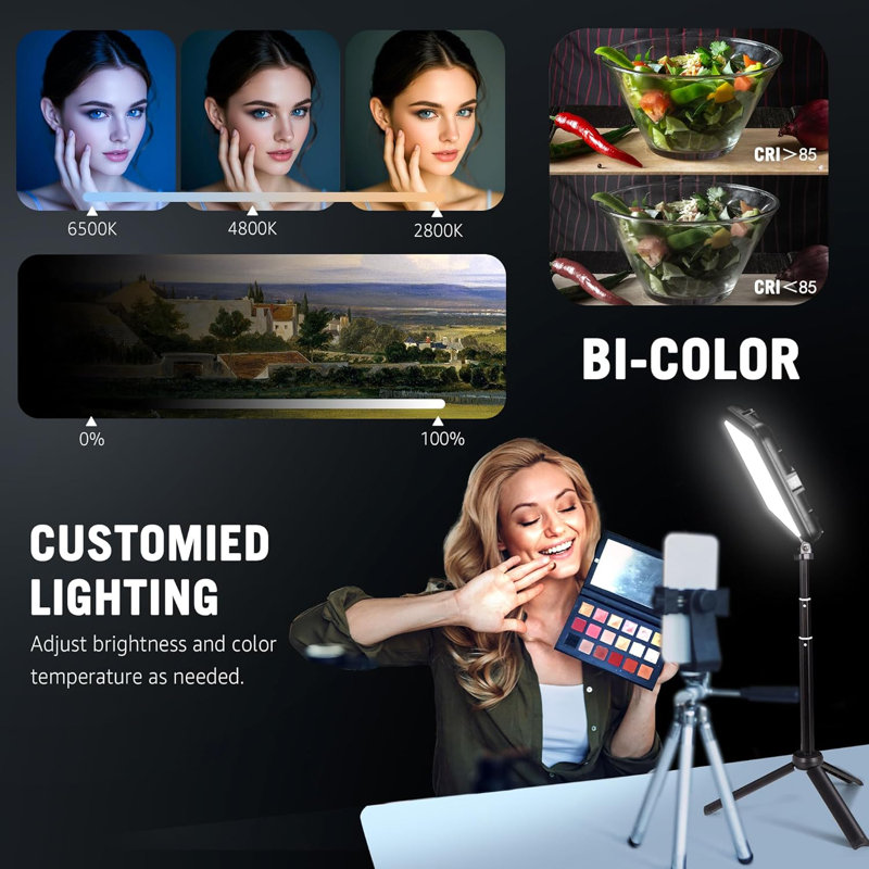 Ensemble de 2 lumières de photographie portatives avec trépied, 8 lumières de studio USB à intensité variable pour vidéoconférence / diffusion en direct / york / tiktok / photographie, 2800K-6500K lumières à DEL bicolores
