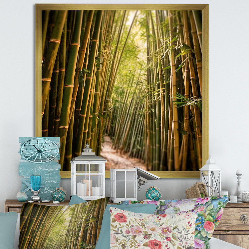 Bamboo Field Landscape - Bamboo Canvas Prints_106658, H 36 po x l 36 po x P 1,5 po, Cadre doré simple